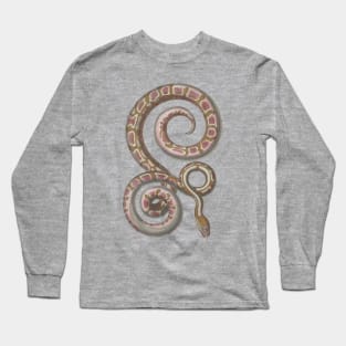 Python Vintage Snake Reptile Scientific Drawing Long Sleeve T-Shirt